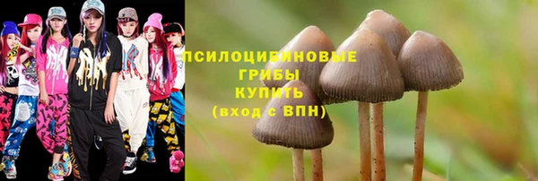 a pvp Абинск