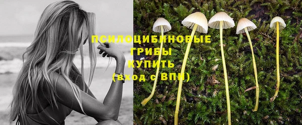 a pvp Абинск