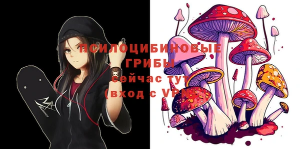 сатива Лабытнанги