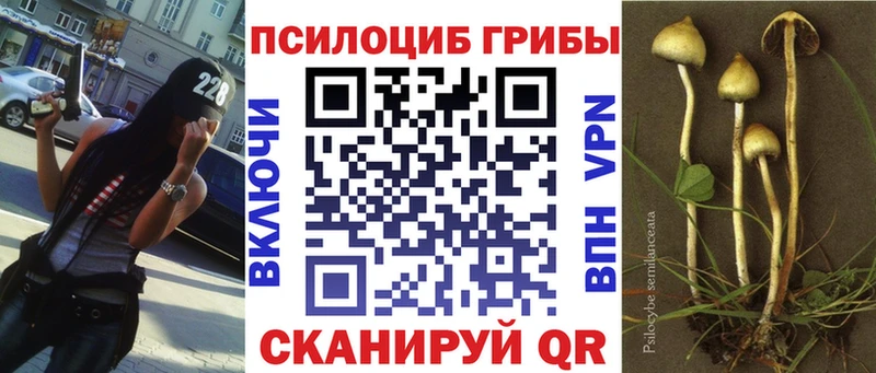 наркотики  Бирюсинск  Псилоцибиновые грибы ЛСД 
